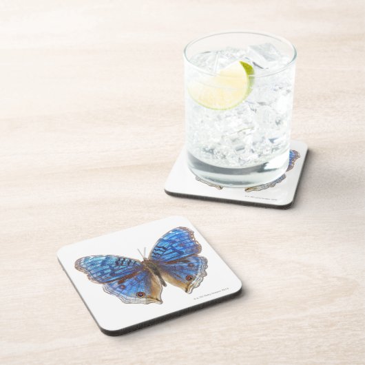 Precis rhadama bier onderzetter (Rechterzijde)