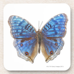 Precis rhadama bier onderzetter