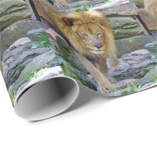 Predator Cadeaupapier (Rol Hoek)