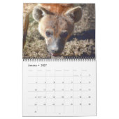 Predator Calendar Kalender (Jan 2027)