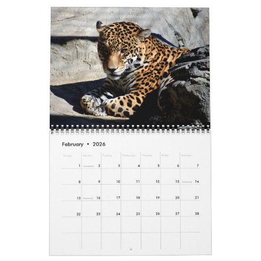 Predator Calendar Kalender (Feb 2026)