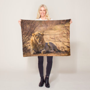 Predator Lion in Zuid-Afrika Fleece Deken