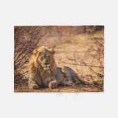 Predator Lion in Zuid-Afrika Fleece Deken (Voorkant (Horizontaal))