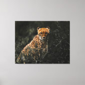 Predator of Prey Staredown Canvas Afdruk (Voorkant)