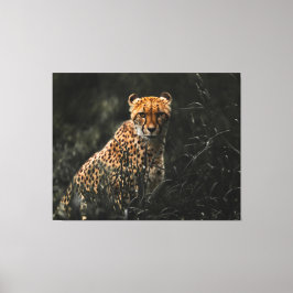 Predator of Prey Staredown Canvas Afdruk