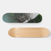 predator skateboard deck (Horizontaal)