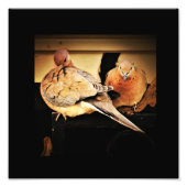 Preder Foto Afdruk (Voorkant)