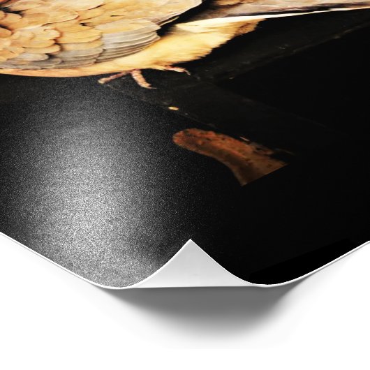 Preder Foto Afdruk (Hoek)