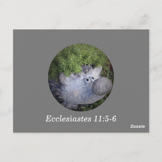 Prediker 11:5-6 Bijbelvers uit het hoofd leren Briefkaart (Achterkant)