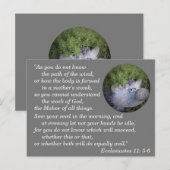 Prediker 11:6 Bijbelvers te onthouden Briefkaart (Voorkant / Achterkant)