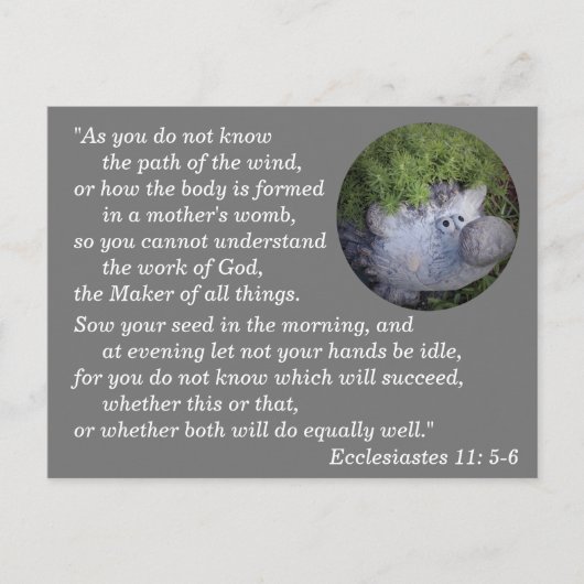 Prediker 11:6 Bijbelvers te onthouden Briefkaart (Voorkant)