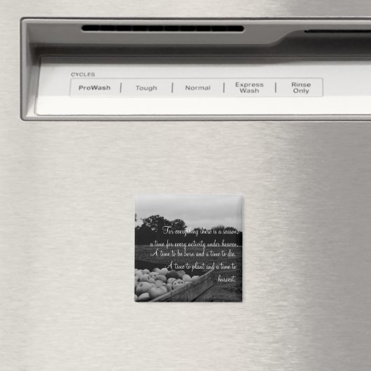 Prediker 3:2 magneet (Insitu (Vaatwasser))