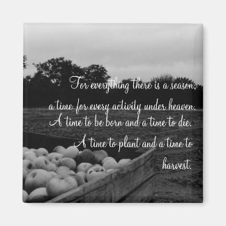 Prediker 3:2 magneet