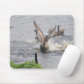 Preening Canada in ganzen en in het water levende  Muismat (Met muis)