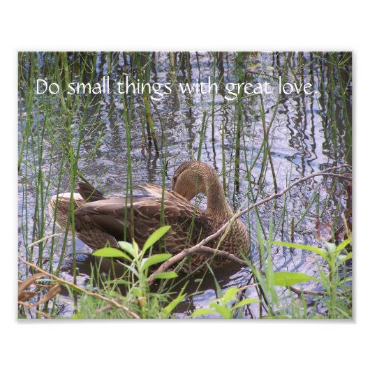 Preening Duck tussen de Russen. Foto Afdruk (Voorkant)