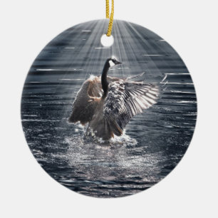 Preening, Flapping Wild Canada Goose Design Keramisch Ornament