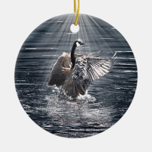 Preening, Flapping Wild Canada Goose Design Keramisch Ornament (Voorkant)