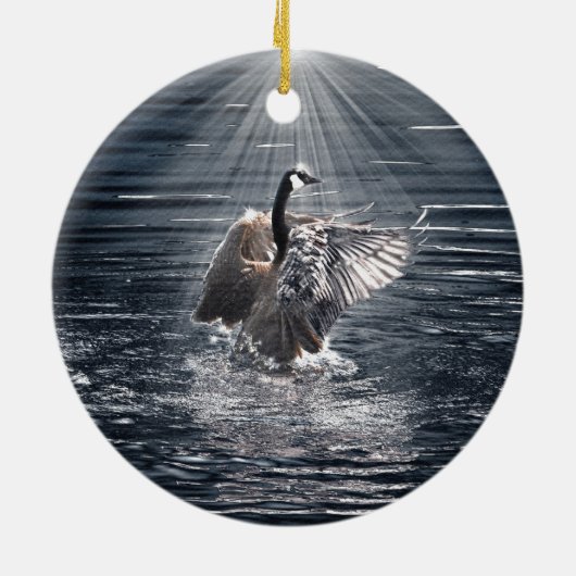 Preening, Flapping Wild Canada Goose Design Keramisch Ornament (Achterkant)