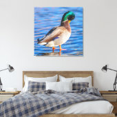 Preening Mallard Canvas Afdruk (Insitu (Slaapkamer))