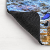 Preening Mallard Duck Birdlover Wildlife Muismat (Hoek)