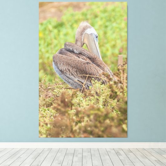 Preening Pelican Canvas Afdruk (Insitu (Houten vloer))
