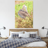 Preening Pelican Canvas Afdruk (Insitu (Slaapkamer))