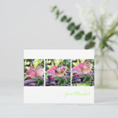 Preening Robins Briefkaart (Staand voorkant)