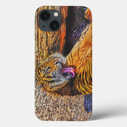 Preening Sumatran Tiger Big Cat Wildlife Art Case-Mate iPhone Case (Achterkant)