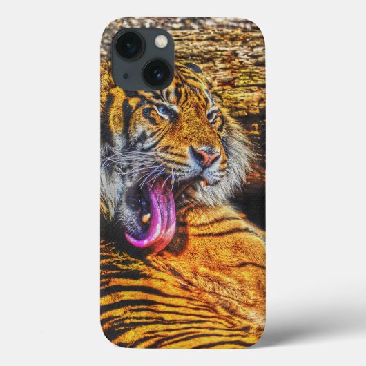 Preening Sumatran Tiger Big Cat Wildlife Art Case-Mate iPhone Case (Achterkant)