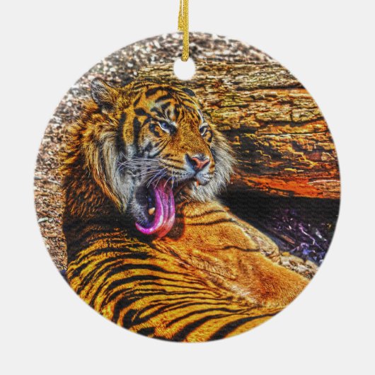 Preening Sumatran Tiger Big Cat Wildlife Art Keramisch Ornament (Achterkant)