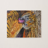 Preening Sumatran Tiger Big Cat Wildlife Art Legpuzzel (Horizontaal)