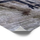 PREHISTORIC CAVE PAINTING POSTER (Hoek)