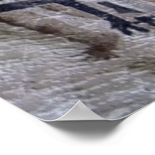 PREHISTORIC CAVE PAINTING POSTER (Hoek)