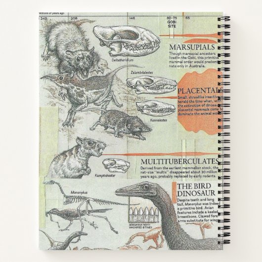 Prehistoric Notebook Notitieboek (Achterkant)