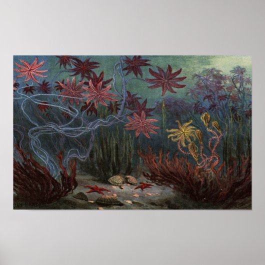 Prehistoricus Ocean Poster (Voorkant)