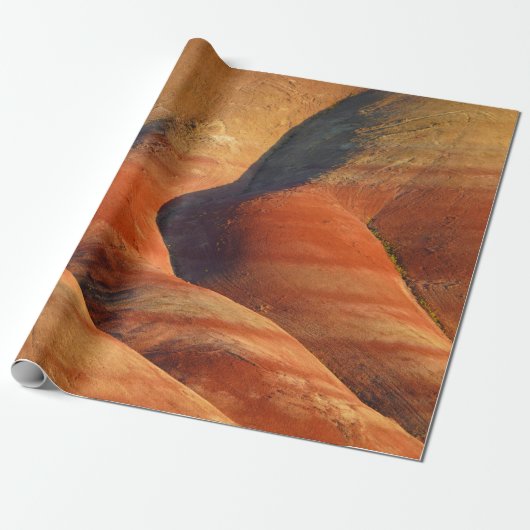 Prehistorisch Cadeaupapier (Uitgerold)