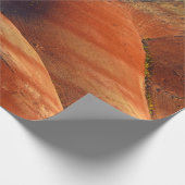 Prehistorisch Cadeaupapier (Hoek)