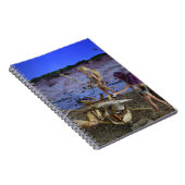 Prehistorisch Leven. Notitieboek (Rechterzijde)