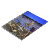 Prehistorisch Leven. Notitieboek (Linkerzijde)