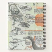 Prehistorisch notitieboek (Achterkant)