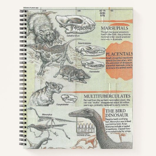 Prehistorisch notitieboek (Voorkant)