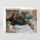 Prehistorisch Texas briefkaart (Voorkant / Achterkant)