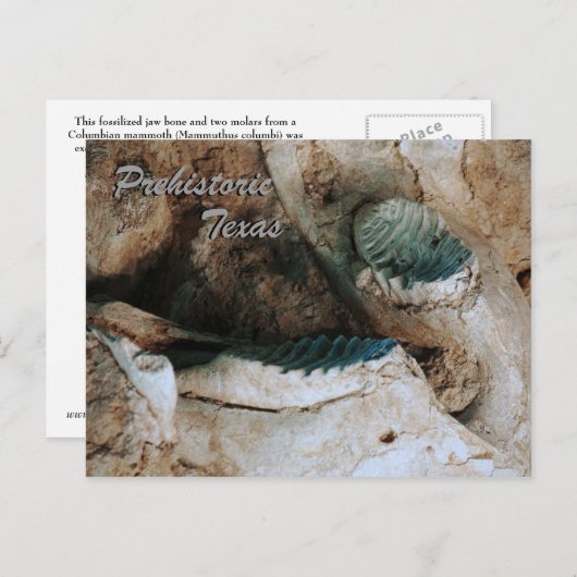 Prehistorisch Texas briefkaart (Voorkant / Achterkant)