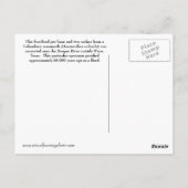 Prehistorisch Texas briefkaart (Achterkant)