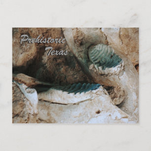 Prehistorisch Texas briefkaart