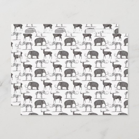 Prehistorische dieren - Wooly Mammoth en Megaceros Briefkaart (Voorkant / Achterkant)