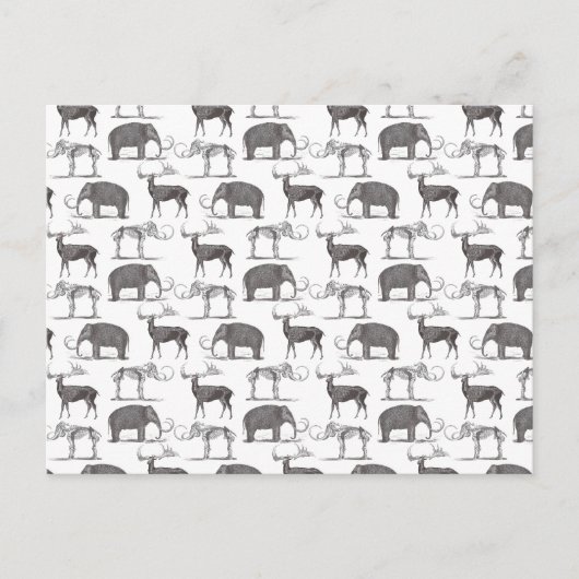 Prehistorische dieren - Wooly Mammoth en Megaceros Briefkaart (Voorkant)