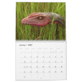 Prehistorische dinosaurussen 2026 kalender (Jan 2027)