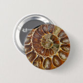 prehistorische fossiele slak schelp zwarte natuur ronde button 5,7 cm (Voorkant /achterkant)
