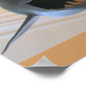 Prehistorische haai poster (Hoek)